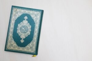 arabic login guide reference scene